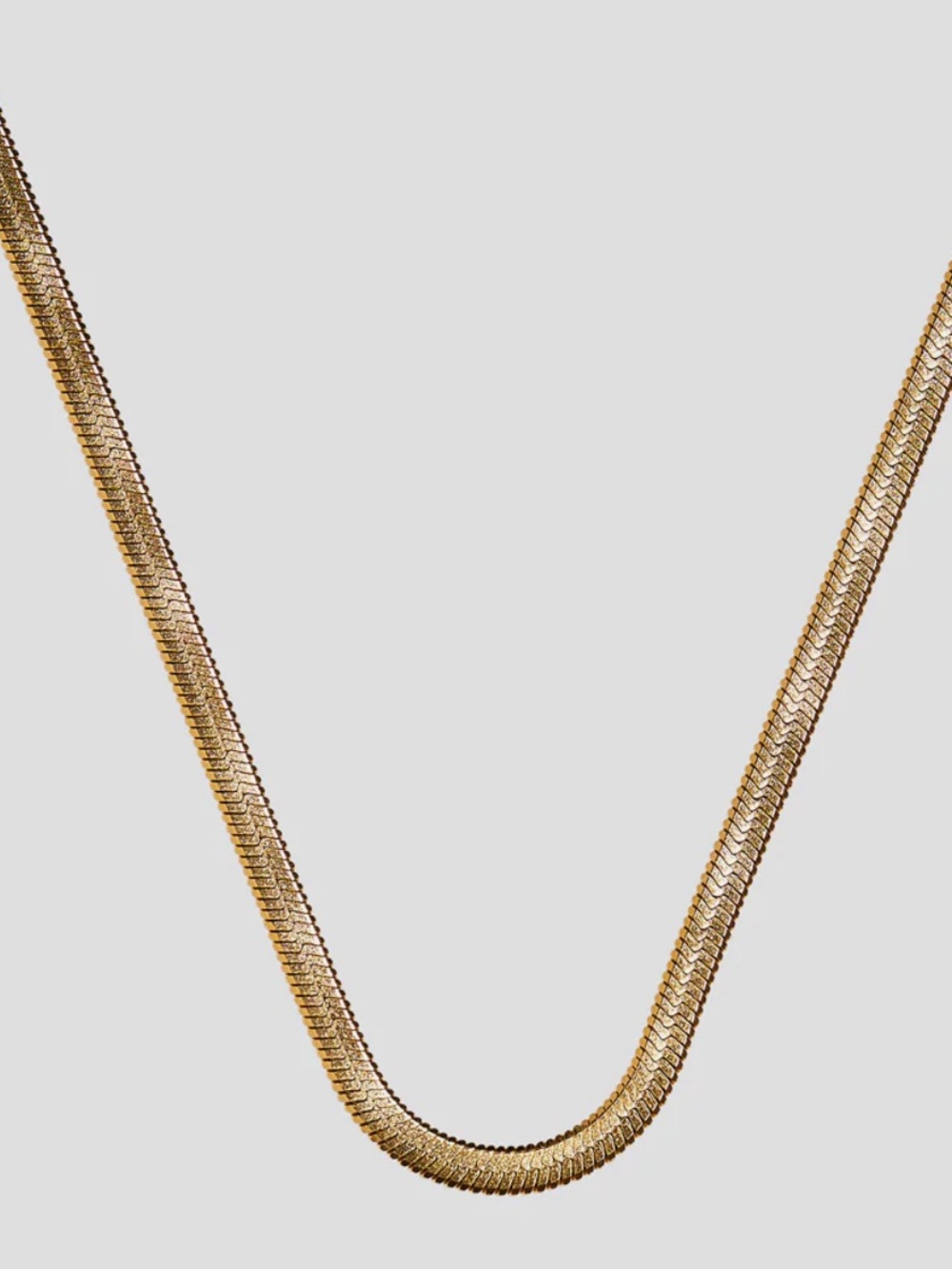 DRAE Gold Snake Choker Necklace